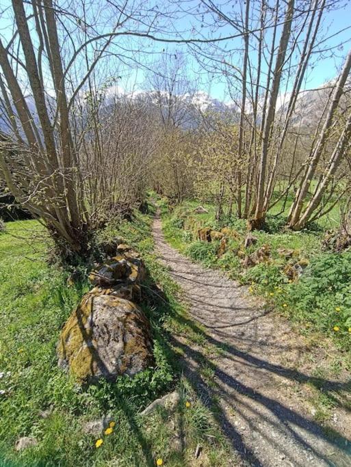 Maison De Montagne Au Calme Avec Cheminee Poubeau Eksteriør billede